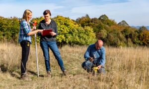 Land surveyors conducting a boundary survey in an open field under bright sunlight, checking instruments and marking property points